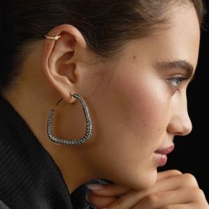 NWT Anthropologie Chrome/Silver Crystal Hoop Earrings!